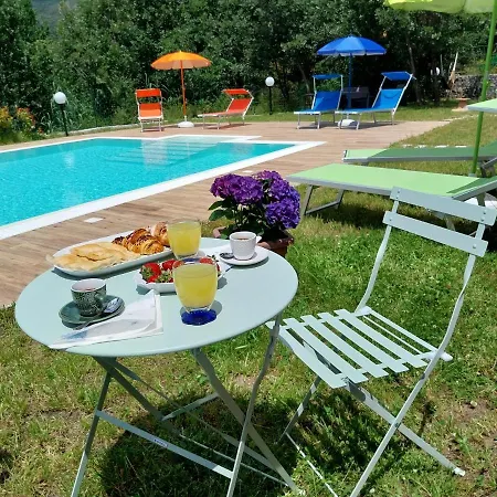 Rosa Guest house